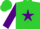 Silk - Lime green, purple Star M B, purple diamond sleeves, purple collar & c