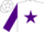 Silk - White, Aqua and Purple Belt, Aqua and Purple Star on Sleeves