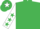 Silk - EMERALD GREEN, white sleeves, emerald green stars, emerald green cap, white star