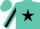 Silk - TURQUOISE, black star, black star stripe on sleeves, turquoise