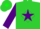 Silk - Lime green, purple star, green M B, purple diamond sleeves,