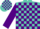 Silk - Turquoise, Purple Blocks, Purple Emblem on Sleeves