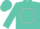 Silk - Turquoise, White Circle, White Bar on Sleeve