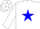 Silk - White, blue T star V star S, 7 U bar Racing brand, blue star