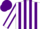 Silk - White and Purple Stripes, White Sleeves, Purple Seams, Purple Cap
