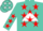 Silk - Turquoise, Red 'C' on White Triangle on Back, Red Stars on Wh