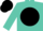 Silk - Turquoise, turquoise emblem on black disc, black cap