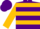 Silk - Purple, gold emblem on back, gold hoops on sleeves