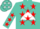 Silk - Turquoise, Red 'C' on White Triangle on Back, Red Stars on Whi