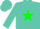 Silk - TURQUOISE, Green Star, Turquoise