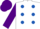 Silk - WHITE, ROYAL BLUE spots, PURPLE sleeves and cap