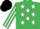 Silk - EMERALD GREEN, white stars, striped sleeves, black cap