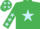 Silk - EMERALD GREEN, light blue star, light blue stars on sleeves, emerald green cap, light blue stars
