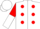 Silk - White, Red spots, Red Circled 'LAR', Red and White Halved Sleeve