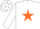 Silk - White, burnt orange star, burnt orange band on sleeves, white c
