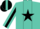 Silk - Turquoise, Black Star, Black Star and Stripe on Sleeve