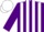 Silk - Purple and White stripes, Purple sleeves, White cap