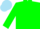 Silk - Teal green, sky blue emblem on back, matching cap