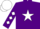 Silk - Purple, White star, diamonds on sleeves, White cap