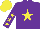 Silk - Purple, Yellow Star, Yellow Stars on Sleeves, Yellow Cap