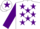 Silk - White, Purple stars, sleeves and star on cap