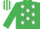 Silk - EMERALD GREEN, white stars, emerald green sleeves, striped cap