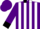 Silk - Purple, black and white stripes, black collar and cuffs, pur