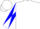 Silk - White, Royal Blue Block Frame, White and Blue Diagonally Quartered Sleeves, B