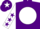 Silk - Purple, White disc, White sleeves, Purple stars, Purple cap, White star