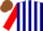 Silk - Navy Blue and White stripes, Red sleeves, brown cap