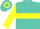 Silk - Turquoise, yellow 'L', yellow hoop on sleeves, yellow and turq