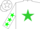 Silk - White, Lime Green Star, Green Stars on Sleeves
