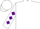 Silk - Teal, white stripes, purple diamonds on sleeves, teal, purple and white cap