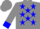 Silk - grey, blue 'WT' and emblem on back, blue stars and cuffs on s