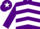 Silk - PURPLE, White chevrons, Purple sleeves & White armlet, Purple cap & White star