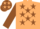 Silk - Beige, brown stars, brown sleeves, beige and brown c