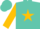 Silk - Turquoise, Red DJR on Gold Circled Star, Gold Bars on Sleeves