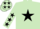 Silk - LIGHT GREEN, black star, black stars on sleeves, light green cap, black stars