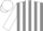 Silk - Grey, white stripes on sleeves, white disc on back, matching cap
