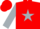 Silk - Red, Black 'D' on Silver Star, Silver Sleeves