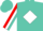 Silk - Turquoise, red 'W', red and white diamond stripe on sleeves, red ca