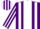 Silk - Purple, white stripe, white stripes on purple
