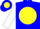Silk - Blue, Blue 'T' on Yellow disc on Back, Blue and Yellow Bands on White Sleeves