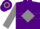 Silk - Purple, grey diamond hoop, grey sleeves