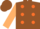 Silk - BROWN, orange spots on tan sleeves, brown ca