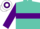Silk - Turquoise, purple hoop, white emblem on back, purple hoop on sleeves