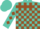 Silk - Turquoise, Brown Blocks, Brown Diamonds on Sleeve