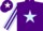 Silk - Purple, Light Blue star, Light Blue and Purple striped sleeves, purple cap, white star