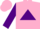 Silk - Pink, Purple Triangle, Purple Sleeves, Pink Cap