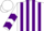 Silk - White and Purple Stripes, White Sleeves, Purple Chevrons, White